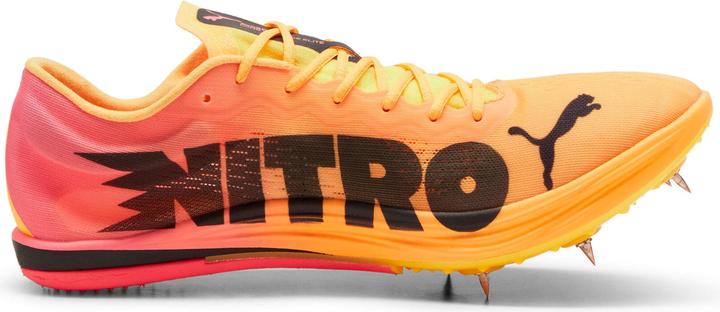 Actual product image Puma evoSPEED Long Distance Nitro Elite 2 (43)