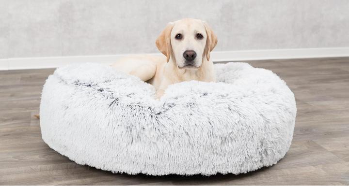 Actual product image Trixie Harvey (Dog)