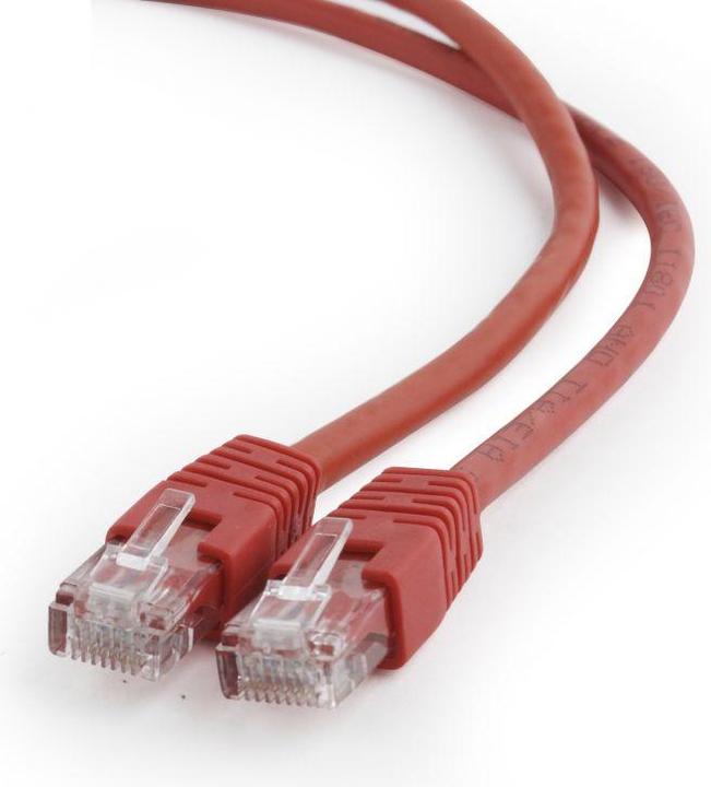 Rot