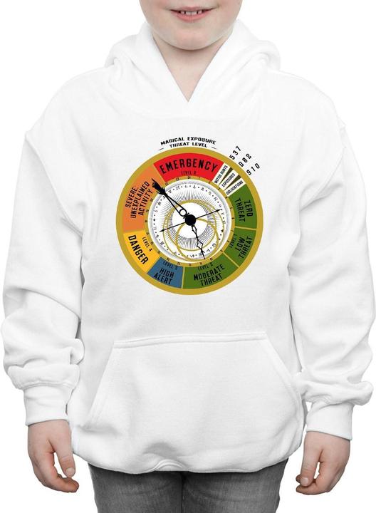 Image du produit Fantastic Beasts - Sweat à capuche THREAT LEVEL - Garçon (140, 146)