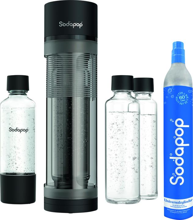 Wassersprudler, Gaszylinder (60 l), 2 Glasflaschen, 1 PET-Flasche