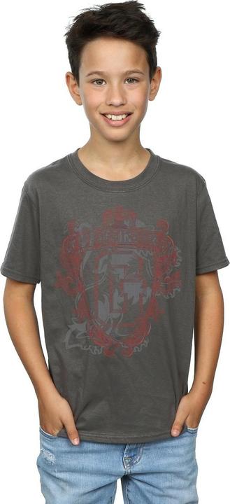Actual product image Boys Gryffindor Lion Crest T-Shirt (140, 146)