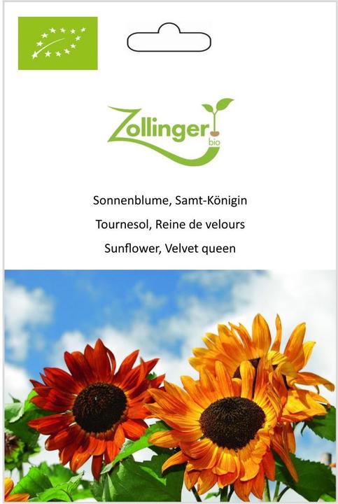 Image du produit Zollinger Bio Tournesol, reine de velours (Graines de fleurs)