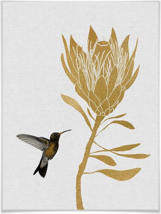 Produktbild Trenddeko Orara Studio - Hummingbird and Flower - goldene Blume (60 x 80 cm)