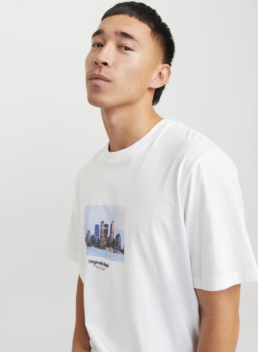 Immagine prodotto Jack & Jones Jorvesterbro Picture Tee Ss Crew Neck Sn (M)