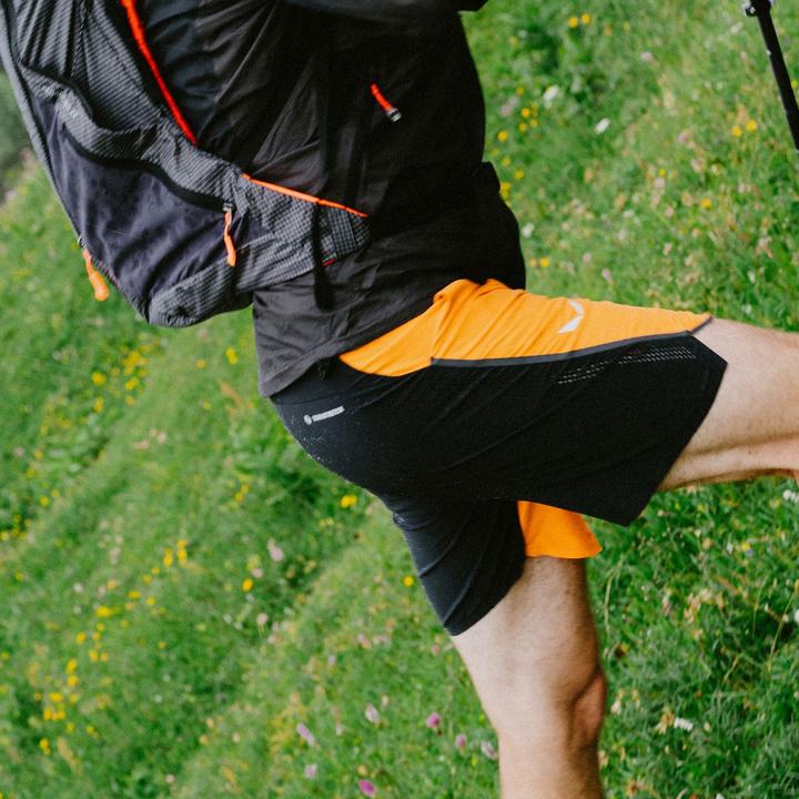 Produktbild Salewa PEDROC 2 DST Herren SHORTS (L)