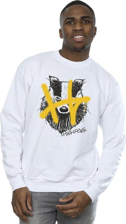 Produktbild Hufflepuff Pop Spray Sweatshirt (M)