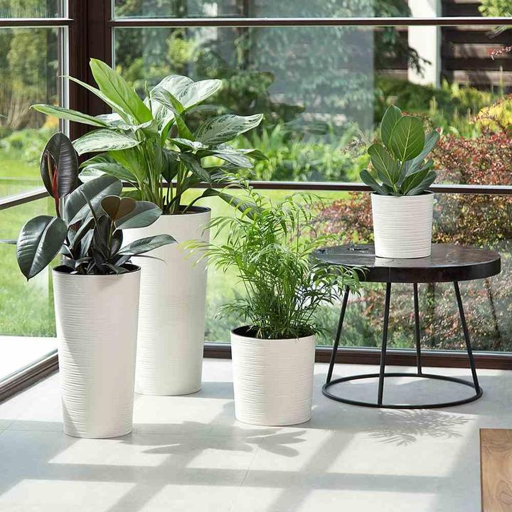 Actual product image Siena Garden Modern (25 cm)