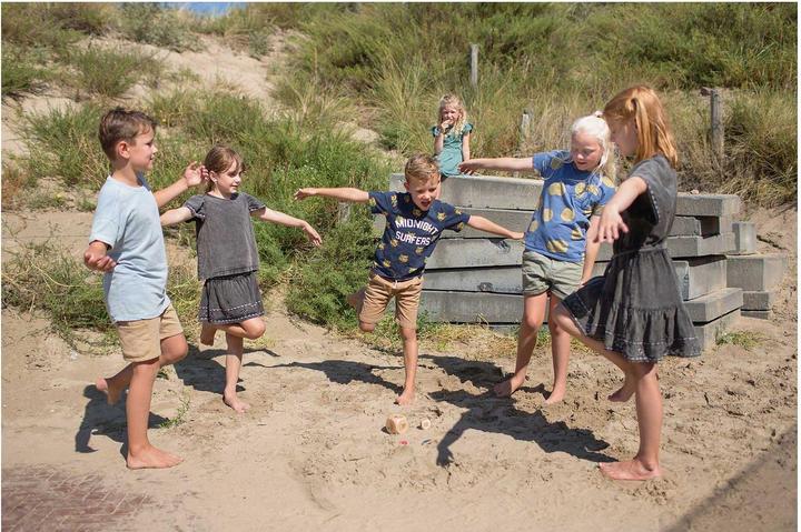 Actual product image BS Toys Birds in Action Wood - Easy for Children (German, French, Italian)