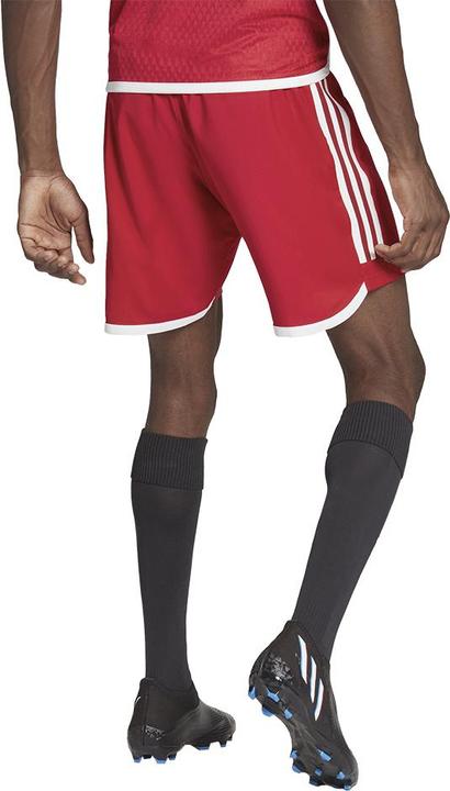 Actual product image adidas Tiro 23 Competition Match training shorts men (XXL)