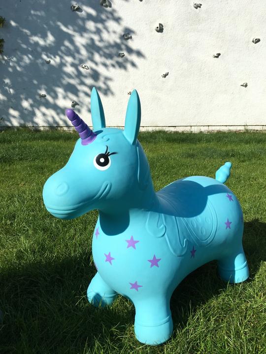 Actual product image Happy Hopperz Unicorn