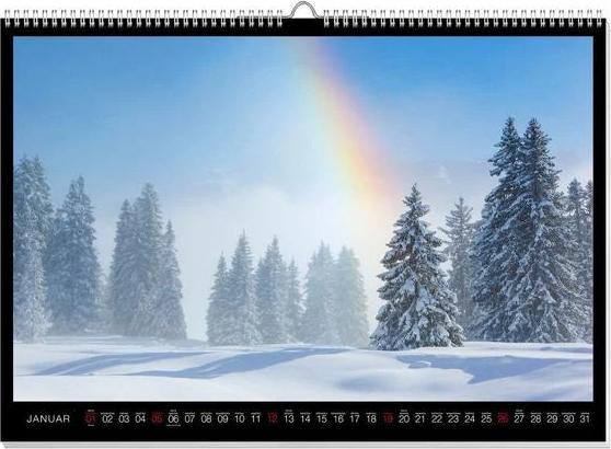 Rainbow Premium Calendar 2025 (60 x 42 cm, German)
