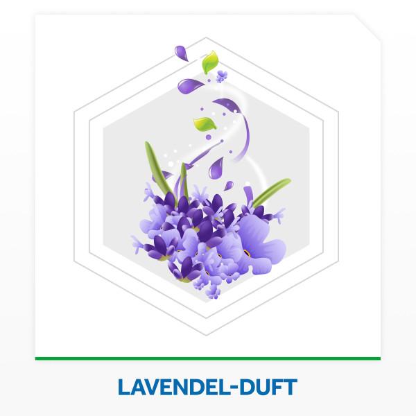Produktbild Raid Duft-Kissen Lavendel