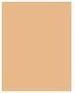 Image du produit Clarins Fond de teint Everlasting n°110.5W Tawny (N° 110.5W Tawny)
