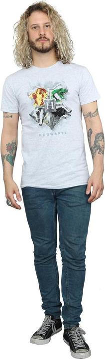 Image du produit - T-shirt HOGWARTS PAINTED CREST - Homme (3XL)