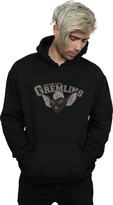 Image du produit Universal Textiles - Sweat à capuche KINGSTON FALLS SPORT - Homme (S)