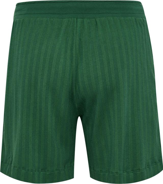 Actual product image hummel Hmlarchive Regular Shorts (S)