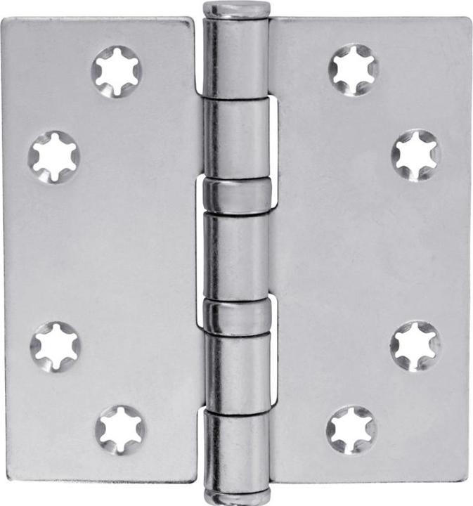 Actual product image Charmag Door hinges with loose ball bearings
