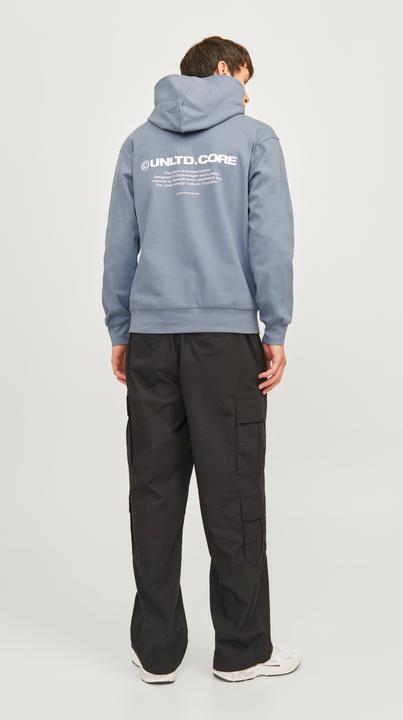 Actual product image Jack & Jones Jcoaero Print Sweat Hood Noos (S)