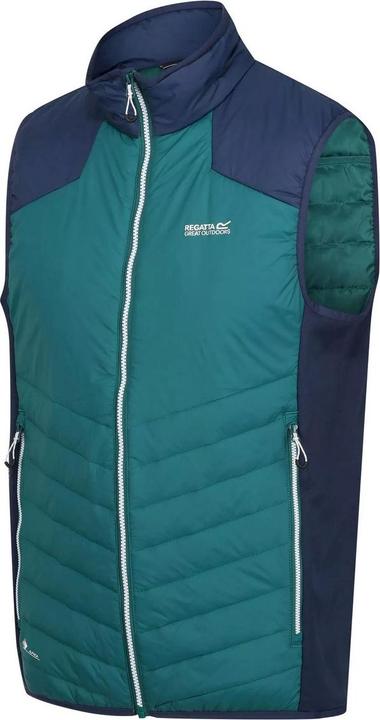 Actual product image Regatta Halton VI Waistcoat Lightweight (L)
