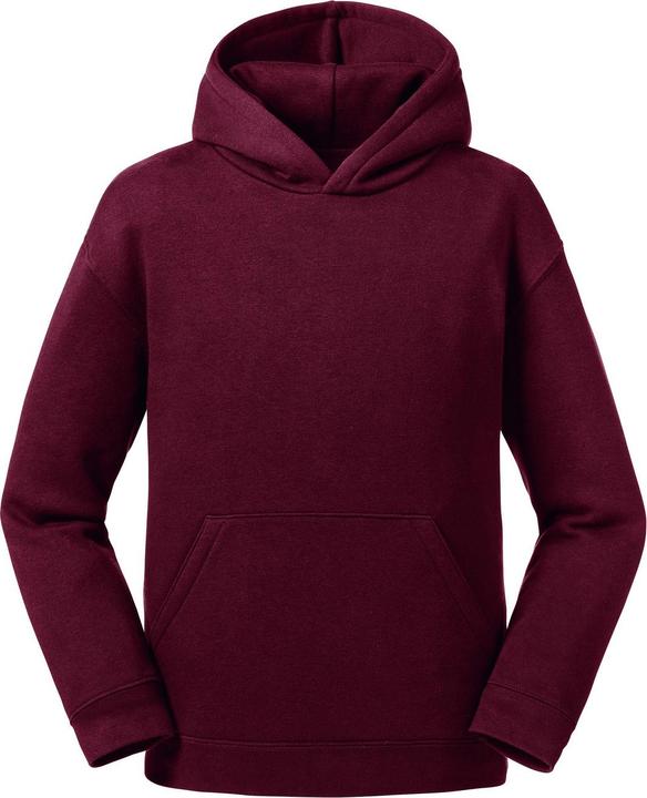 Produktbild Russell Authentic Sweatshirt mit Kapuze (158, 164)