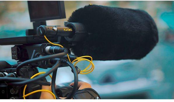 Actual product image Deity S-Mic 3