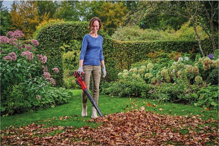 Actual product image Einhell GE-UB 18/250 Li E-Solo (Rechargeable battery operated, Leaf blower)