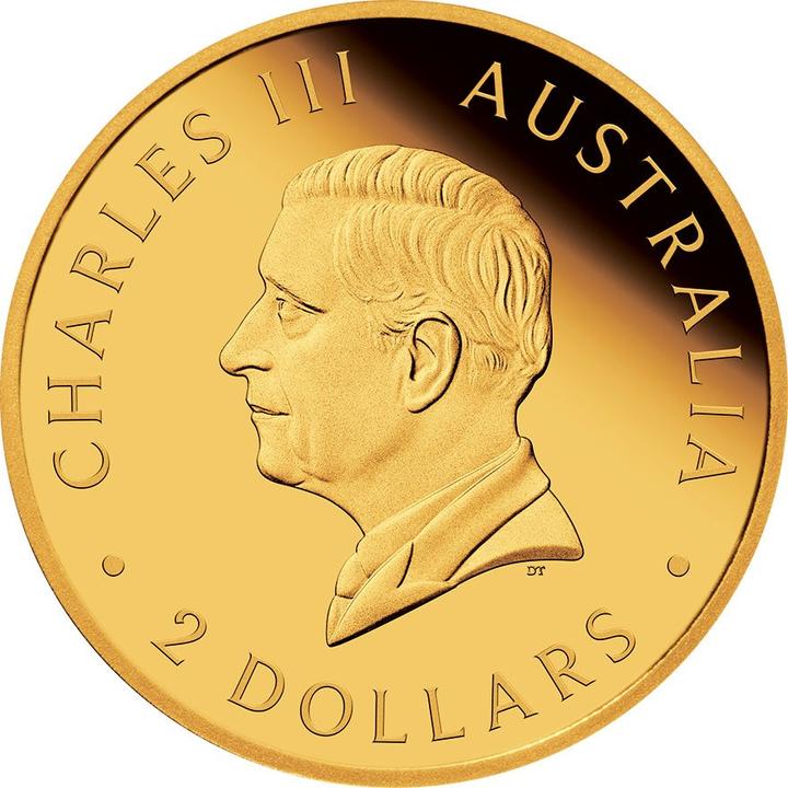 Immagine prodotto The Perth Mint Gold Känguru 0,5 g PP - Mini Roo 2025 (999.90, 2025)