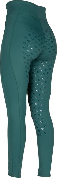 Actual product image Aubrion Womens/Ladies Eltar Horse Riding Tights (XL)