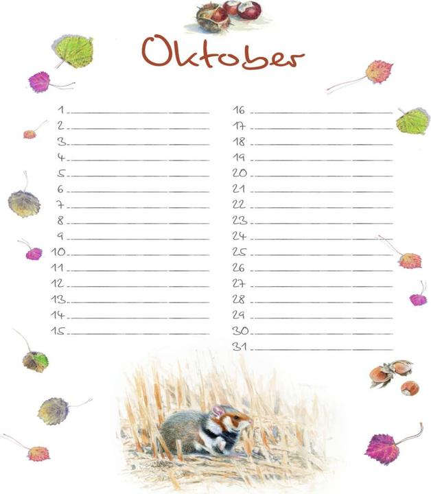 Immagine prodotto Calendario dei compleanni (Copertina rigida, Tedesco)