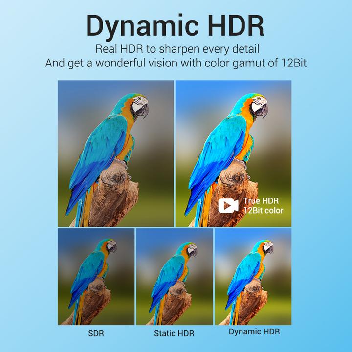 Actual product image Vention HDMI (Type A) - HDMI (Type A) (2 m, HDMI)