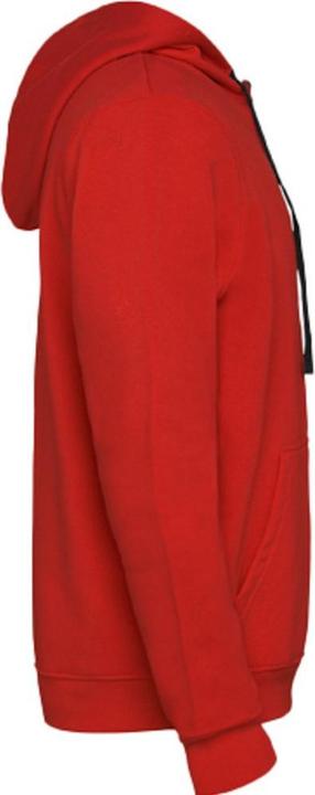 Actual product image Alpinia Mens Urban Hoodie (XL)