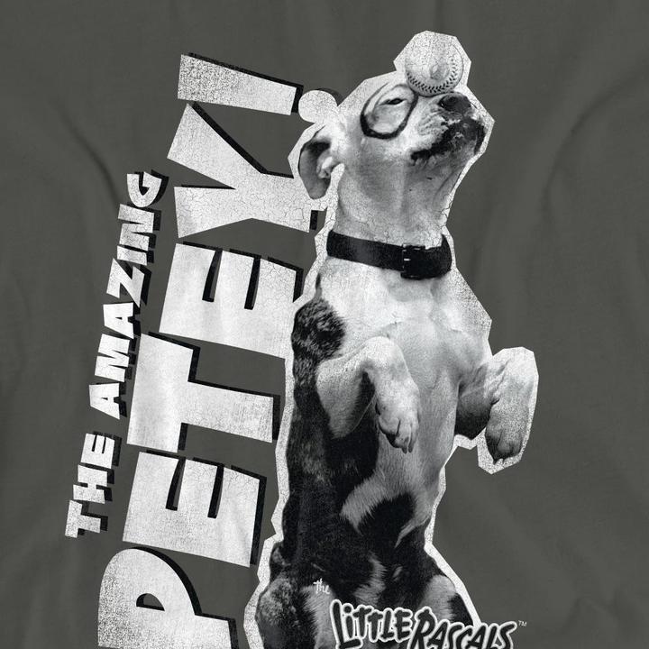 Actual product image The Little Rascals Unisex Adult Amazing Petey T-Shirt (L)