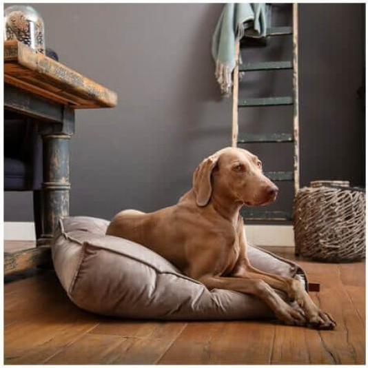 Actual product image Designed by Lotte Nalino (Dog)