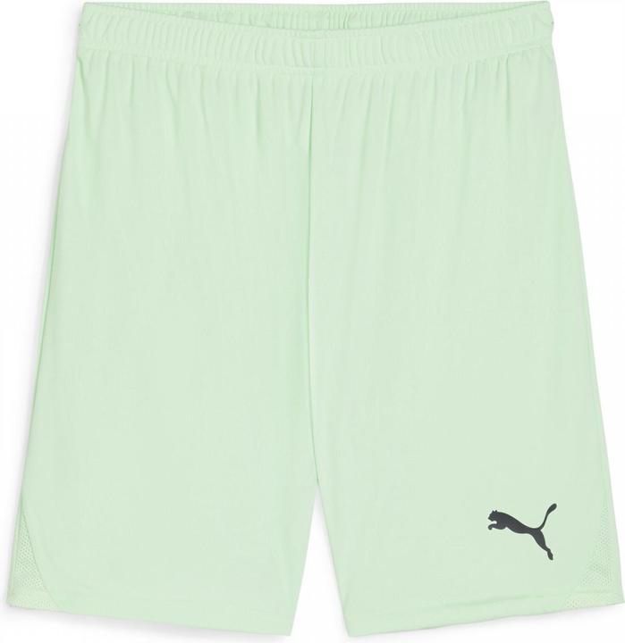 Produktbild Puma teamGOAL Shorts (S)
