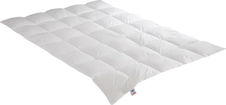 Image du produit Irisette Couette en duvet Edda medium (540 g, 200 x 200 cm)
