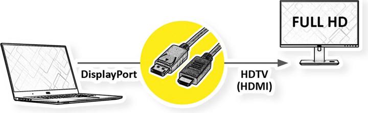 Image du produit Roline Câble DP-HDTV (3 m, DisplayPort)