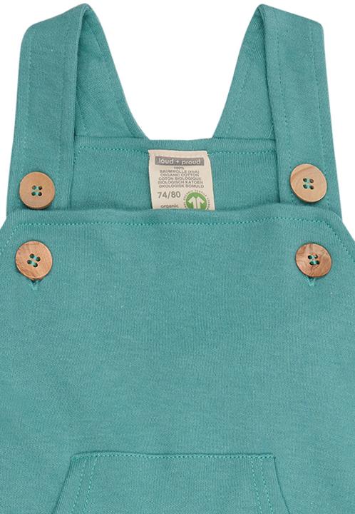 Actual product image loud + proud Dungarees (62)