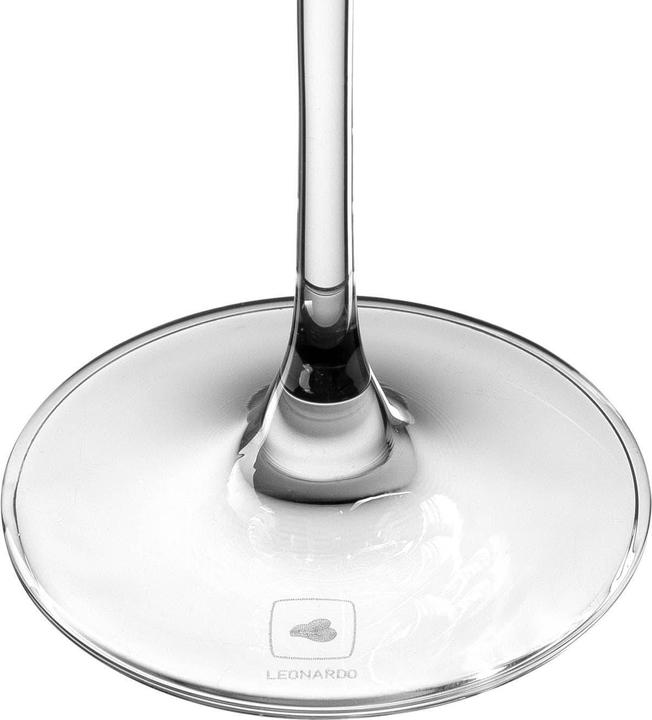 Actual product image Leonardo Puccini (28 cl, 6 Glasses, Champagne glasses)