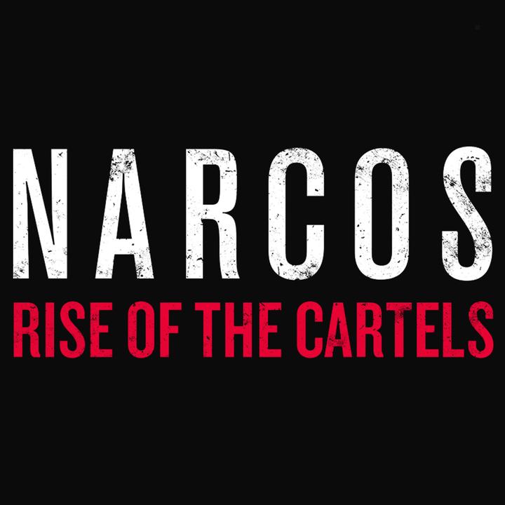 Actual product image Just for Games Narcos : Rise of the cartels (PS4)