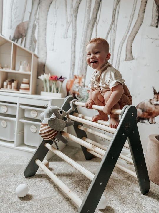 Actual product image Meowbaby Climbing frame for children