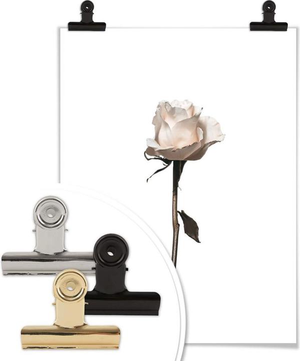 Actual product image Trenddeko The white rose (30 x 40 cm)
