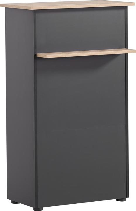 Immagine prodotto Schildmeyer Reception (66 x 44 x 110,5 cm)