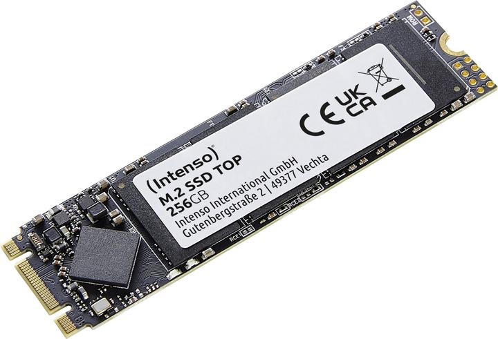 Intenso prestazioni al top (256 GB, M.2 2280)