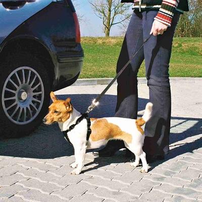 Actual product image Trixie Car harness (XS, Dog, General)