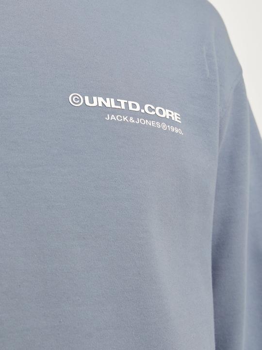 Actual product image Jack & Jones Jcoaero Print Sweat Hood Noos (S)