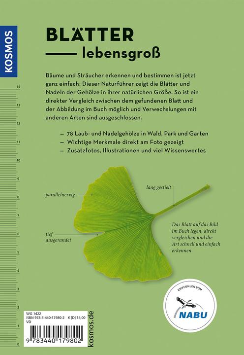 Immagine prodotto Kosmos Bäume am Blatt erkennen - 78 Laub- und Nadelgehölze. Blätter in Originalgrösse (Tedesco, Meike Bosch, 2024)