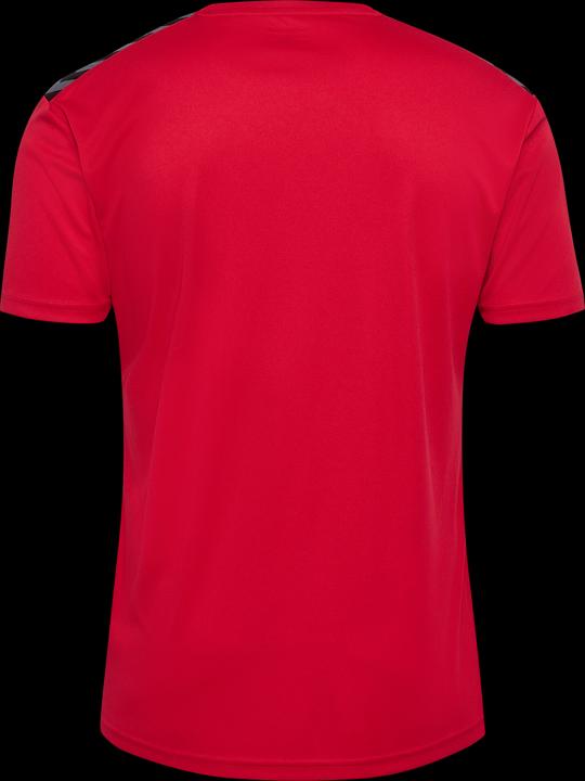 Image du produit hummel Hmlauthentic Pl Jersey S/S (XXL)