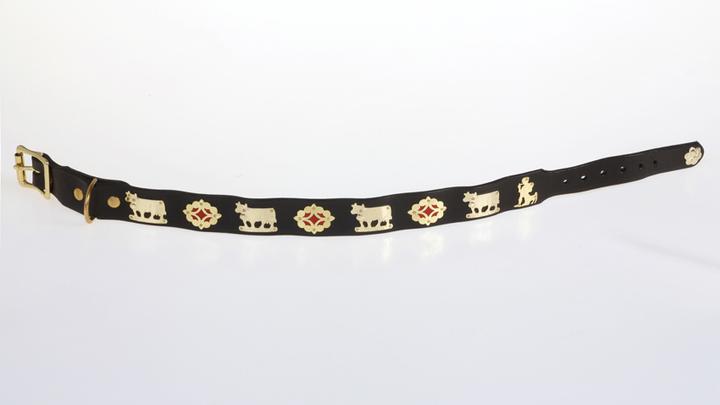 Immagine prodotto Jenni Hemden Collare per cani Appenzeller (Cane, Passeggiare)