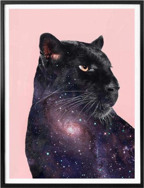 Produktbild Trenddeko Loose – Galaxy Panther (50 x 60 cm)